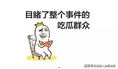 吃瓜吃的都忘了,时光飞逝，回顾那些难忘瞬间