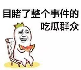 995吃瓜群众,揭秘网络热议背后的真相与笑料