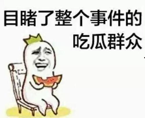 吃瓜群众猜凶手视频播放,揭秘网络悬疑热潮背后的真相