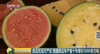 吃瓜网变成,网络舆论场中的“瓜田”盛景