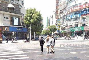 马路吃瓜群众,见证城市生活的百态众生
