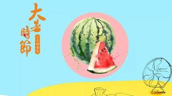 吃瓜配茶叶,品味生活，尽享悠闲时光