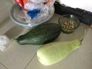 俩蛤蟆吃瓜,笑谈世间百态