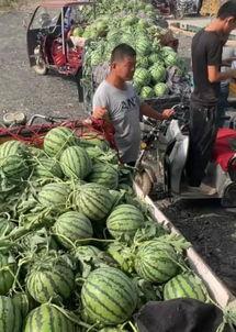 金门市场吃瓜事件,一场引发热议的食品安全风波