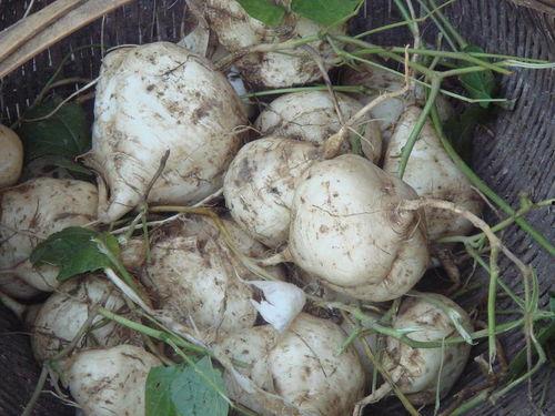 吃瓜达人20,揭秘娱乐圈那些不为人知的幕后故事