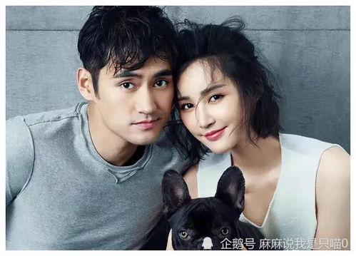 爆料吃瓜演员,吃瓜群众眼中的当红演员幕后故事