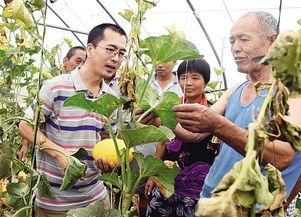 隆尧县城吃瓜事件,一场引发热议的网络狂欢