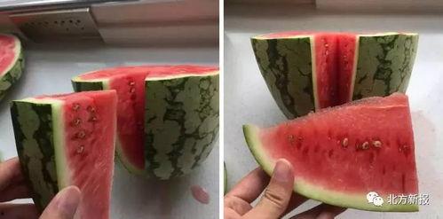 吃瓜假西瓜,一场关于真假瓜的趣味之旅