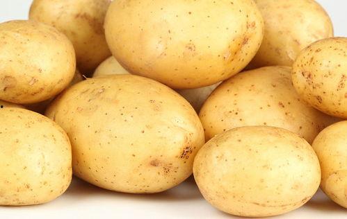 土豆吃瓜少女,揭秘校园里的独特风采