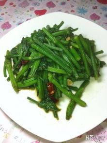 什么瓜都炒菜吃吗,探索各地特色瓜菜烹饪艺术