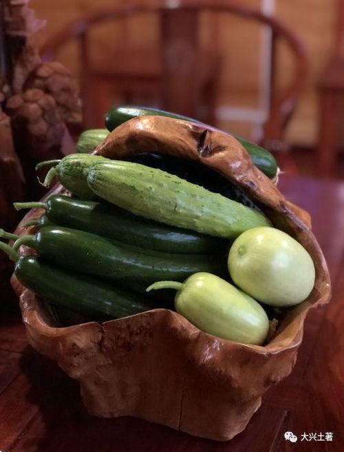 吃瓜网红大瓜,吃瓜群众背后的故事