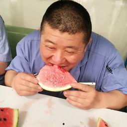 静静吃瓜的观众,揭秘观众背后的故事