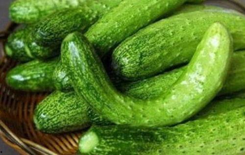 陶园里吃瓜,夏日消暑好去处