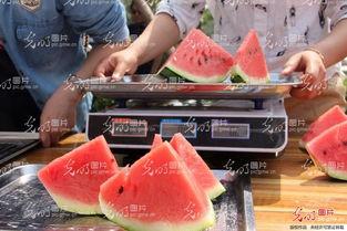 吃瓜最新事件 山东,揭秘背后真相与争议