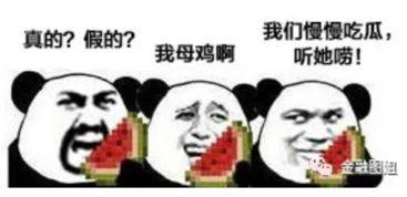 反差爆料吃瓜反差,吃瓜群众眼中的“爆料”与“真相”