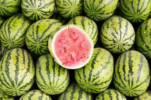 吃瓜就该这么吃,吃瓜就该这么吃，解锁美味新境界