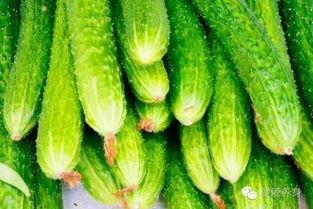 吃瓜就该这么吃,吃瓜就该这么吃，解锁美味新境界