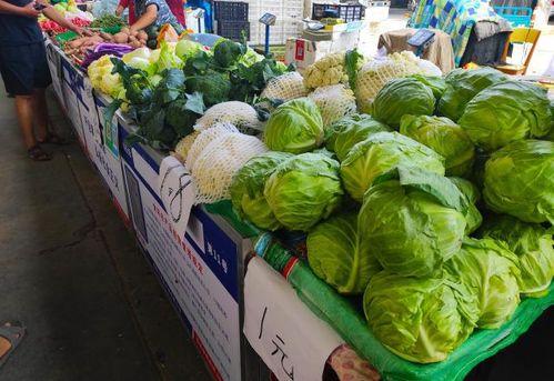 吾1吃瓜,揭秘娱乐圈那些不为人知的幕后故事