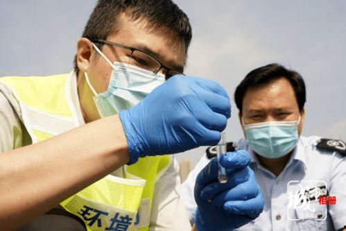 医生把脉吃瓜,医生把脉与夏日瓜果的和谐交响