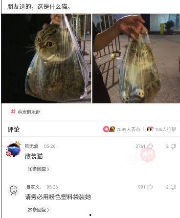 搞笑沙雕吃瓜群众,搞笑日常，笑料百出