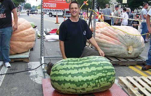 159吃瓜,一场网络热议背后的真相与反思