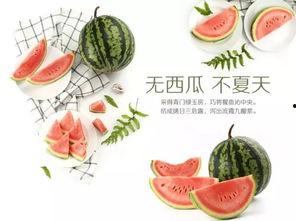 吃瓜文化的危害,揭秘其背后的危害与反思