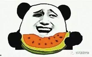 吃瓜群众-Alice,揭秘娱乐圈幕后故事