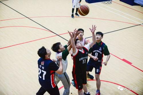 cba男篮吃瓜,吃瓜群众视角下的赛场风云