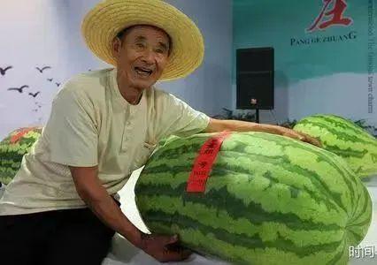 吃瓜王150斤,揭秘他的美食世界与生活态度