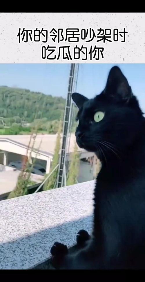 吃瓜吵架图片,网络热议背后的真相揭秘