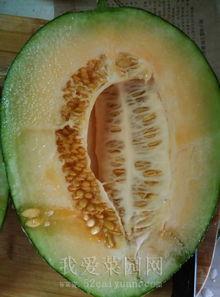 哈密瓜怎么花着吃,花式享用的甜蜜诱惑