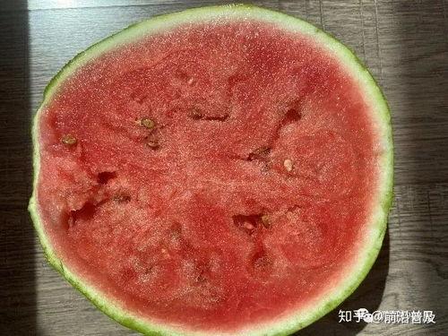 吃瓜聊科普,揭秘生活中的科学奥秘