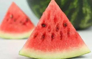 吃瓜聊科普,揭秘生活中的科学奥秘