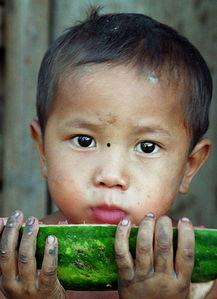 吃瓜少年的图片,揭秘吃瓜少年的神秘世界