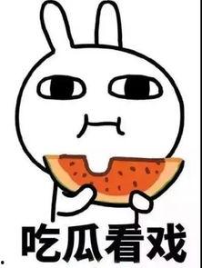 最近热门今日吃瓜,揭秘娱乐圈最新热点事件