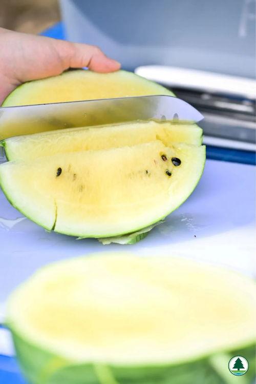 最近热门今日吃瓜,揭秘娱乐圈最新热点事件