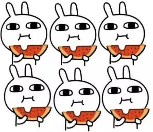 福娃瓜怎么吃,解锁美味新体验