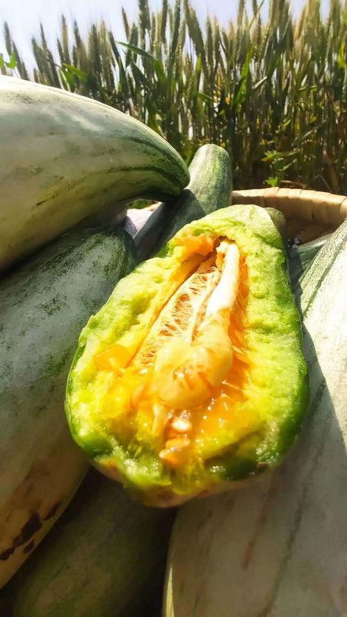 婉静吃瓜,揭秘娱乐圈那些不为人知的幕后故事