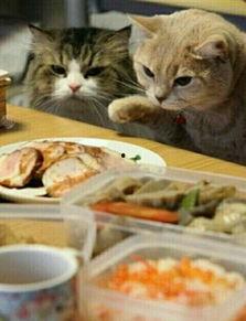 喵酱吃瓜看戏,揭秘娱乐圈幕后故事