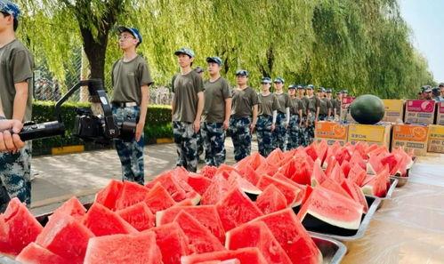 西安学校吃瓜事件,校园食品安全问题引发关注