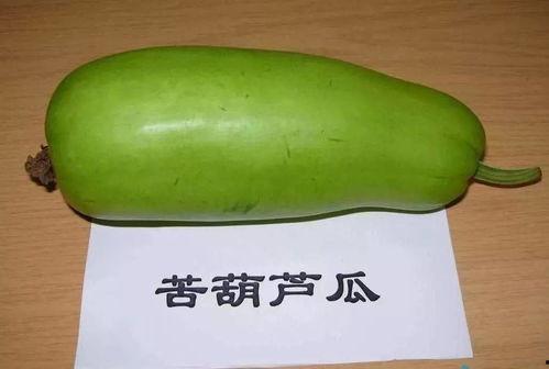 儿童吃臭瓜葫芦根,臭瓜葫芦根的奇妙之旅