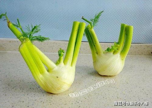 北方人吃瓜吃籽吗,籽在口中，乐趣无穷