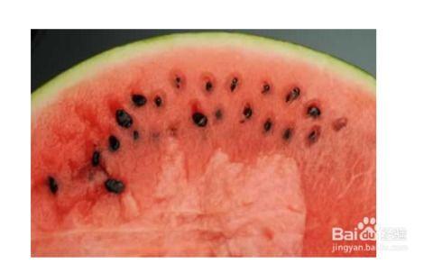 北方人吃瓜吃籽吗,籽在口中，乐趣无穷