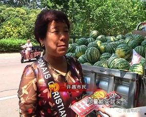 吃瓜群众河南灵宝,吃瓜群众眼中的瓜乡风情