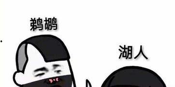 吃瓜丑特效,趣味与创意的完美结合