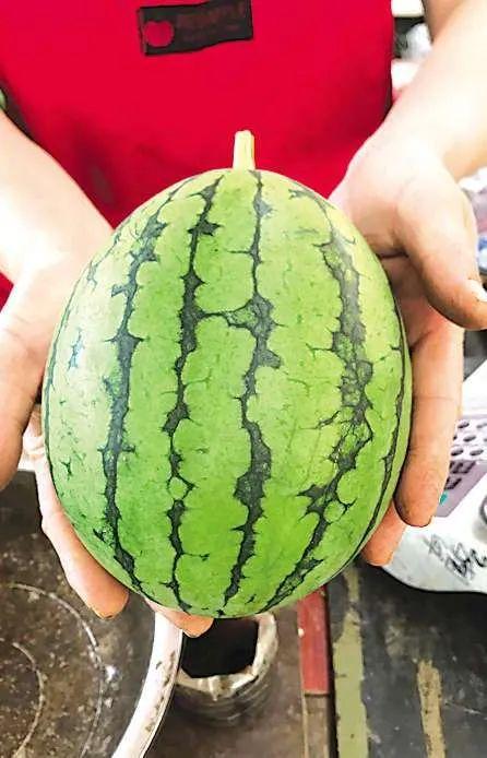 2020吃瓜事件,盘点那些年我们一起“吃瓜”的瞬间