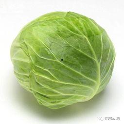 包菜吃瓜,一场味蕾的盛宴