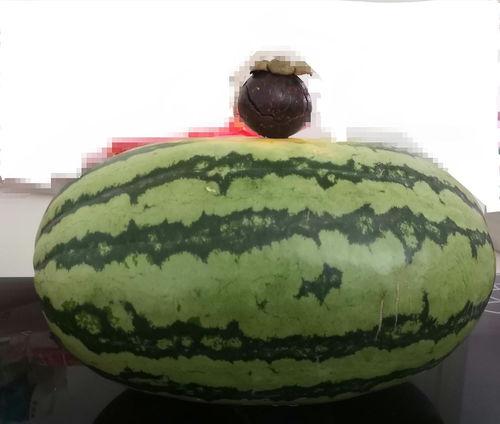 大家尽情吃瓜,全民共享吃瓜盛宴