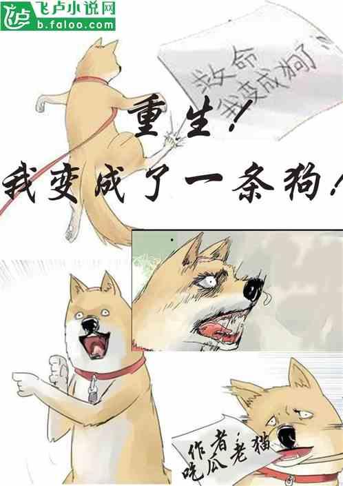 猫抓老吃瓜,老吃瓜成日常趣事