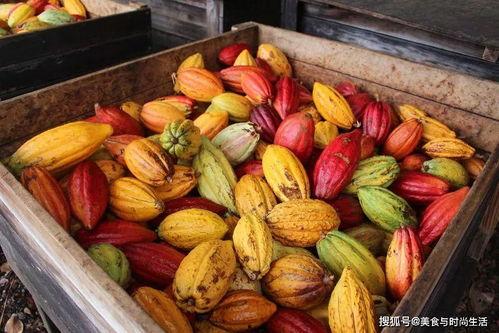 爱可可吃瓜视,带你领略娱乐圈幕后风云